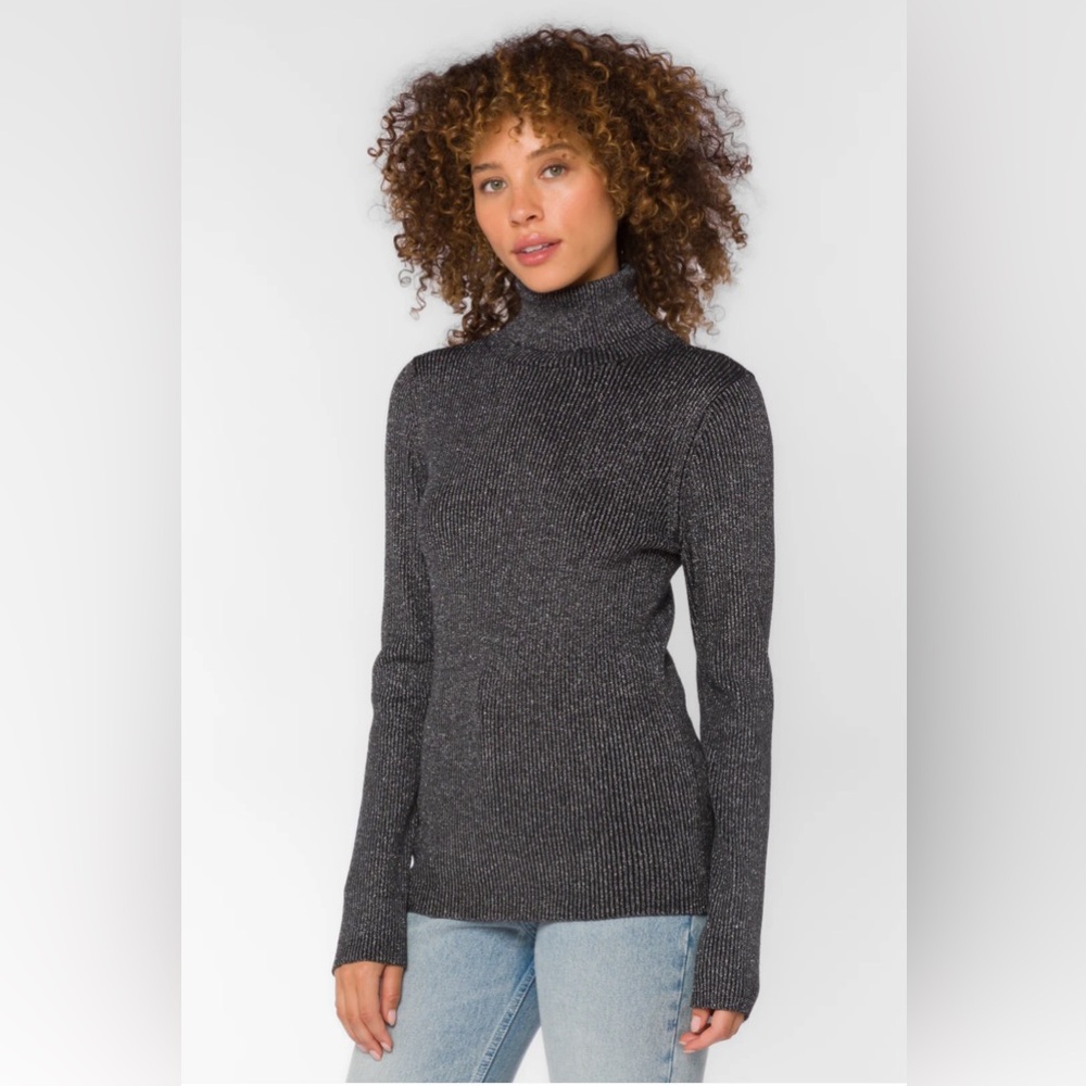 NWT Mason & Belle | Metallic Turtle neck Sweater